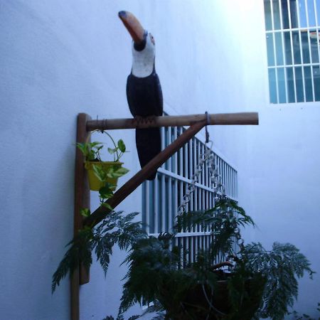 Aconchego Dos Milagres Villa São Miguel dos Milagres Exterior foto